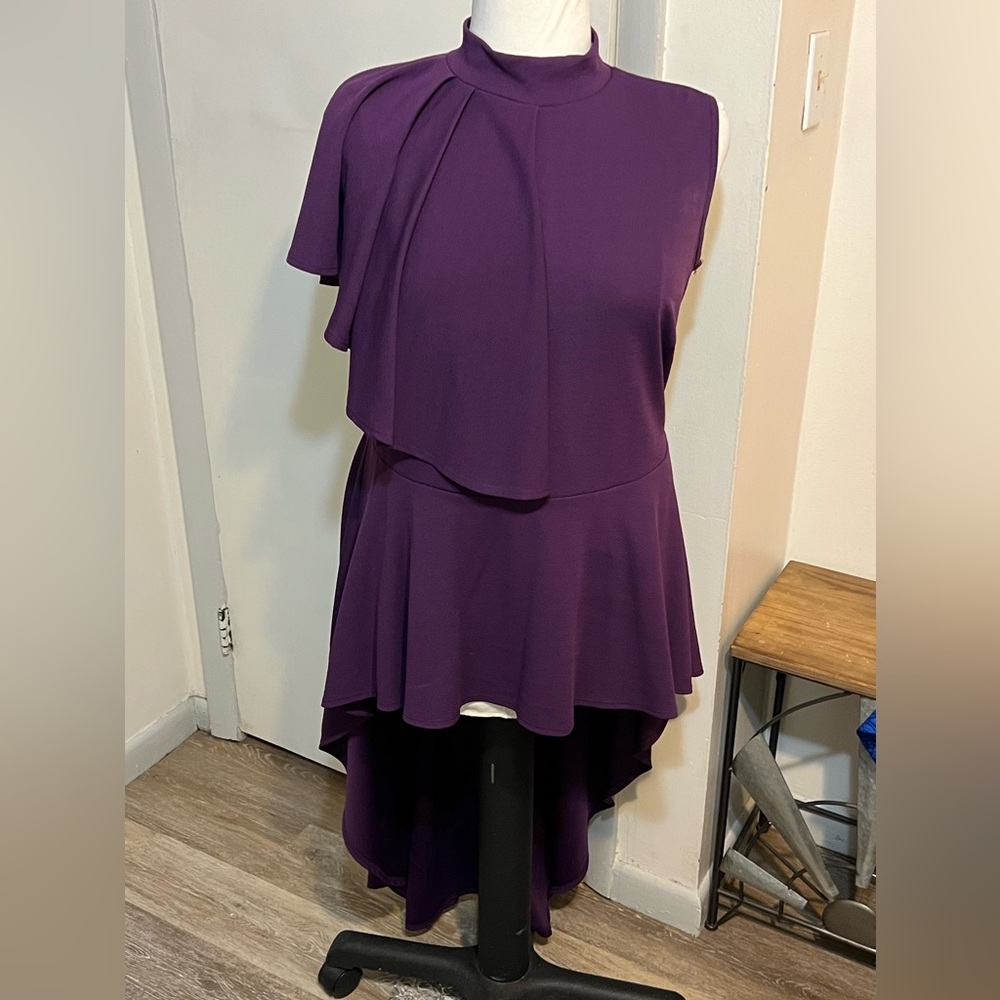 Ashley Stewart Plum Shirt w/ Tail - Size 18/20
